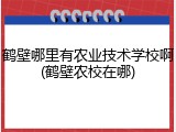 鹤壁哪里有农业技术学校啊(鹤壁农校在哪)