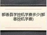 鄯善县学挖机学费多少(鄯善挖机学费)