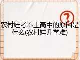 农村娃考不上高中的原因是什么(农村娃升学难)
