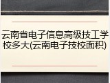 云南省电子信息高级技工学校多大(云南电子技校面积)