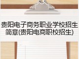 贵阳电子商务职业学校招生简章(贵阳电商职校招生)