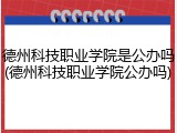 德州科技职业学院是公办吗(德州科技职业学院公办吗)