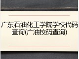 广东石油化工学院学校代码查询(广油校码查询)