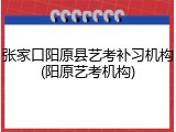张家口阳原县艺考补习机构(阳原艺考机构)