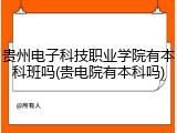 贵州电子科技职业学院有本科班吗(贵电院有本科吗)