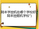 陆丰学挖机在哪个学校好("陆丰挖掘机学校")