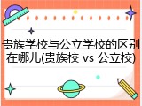 贵族学校与公立学校的区别在哪儿(贵族校 vs 公立校)