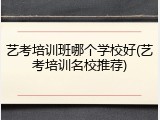 艺考培训班哪个学校好(艺考培训名校推荐)