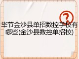 毕节金沙县单招数控学校有哪些(金沙县数控单招校)