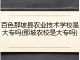 百色那坡县农业技术学校是大专吗(那坡农校是大专吗)