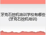 牙克石挖机培训学校有哪些(牙克石挖机培训)