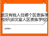 武汉有钱人住哪个区贵族学校好(武汉富人区贵族学校)