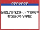 张家口宣化县补习学校哪里有(宣化补习学校)