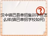 汉中镇巴县单招集训学校怎么样(镇巴单招学校如何)