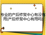 专业的产后修复中心有没有用(产后修复中心有用吗)