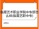 临夏艺术职业学院中专部怎么样(临夏艺职中专)