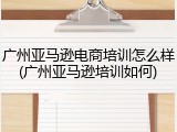 广州亚马逊电商培训怎么样(广州亚马逊培训如何)