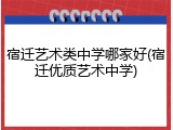 宿迁艺术类中学哪家好(宿迁优质艺术中学)