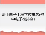 资中电子工程学校排名(资中电子校排名)