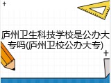 庐州卫生科技学校是公办大专吗(庐州卫校公办大专)