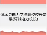 蒲城县电力学校职校校长是谁(蒲城电力校长)