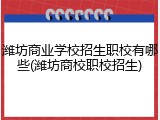潍坊商业学校招生职校有哪些(潍坊商校职校招生)