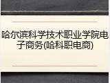 哈尔滨科学技术职业学院电子商务(哈科职电商)