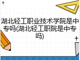 湖北轻工职业技术学院是中专吗(湖北轻工职院是中专吗)