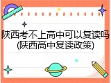 陕西考不上高中可以复读吗(陕西高中复读政策)