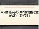 台湘科技学校中职招生简章(台湘中职招生)