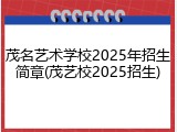 茂名艺术学校2025年招生简章(茂艺校2025招生)