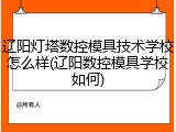 辽阳灯塔数控模具技术学校怎么样(辽阳数控模具学校如何)