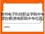 贵州电子科技职业学院中专部在哪(贵电职院中专位置)