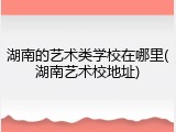湖南的艺术类学校在哪里(湖南艺术校地址)