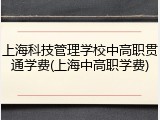 上海科技管理学校中高职贯通学费(上海中高职学费)