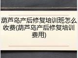 葫芦岛产后修复培训班怎么收费(葫芦岛产后修复培训费用)