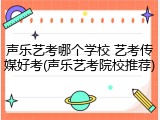 声乐艺考哪个学校 艺考传媒好考(声乐艺考院校推荐)