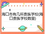 海口市有几所贵族学校(海口贵族学校数量)