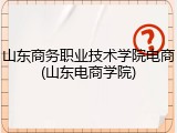 山东商务职业技术学院电商(山东电商学院)