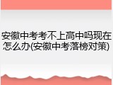 安徽中考考不上高中吗现在怎么办(安徽中考落榜对策)