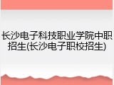 长沙电子科技职业学院中职招生(长沙电子职校招生)