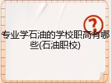 专业学石油的学校职高有哪些(石油职校)