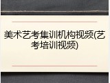 美术艺考集训机构视频(艺考培训视频)