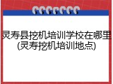 灵寿县挖机培训学校在哪里(灵寿挖机培训地点)