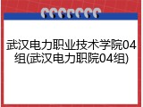 武汉电力职业技术学院04组(武汉电力职院04组)