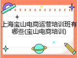 上海宝山电商运营培训班有哪些(宝山电商培训)