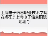 上海电子信息职业技术学院在哪里("上海电子信息职院地址")