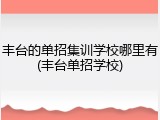 丰台的单招集训学校哪里有(丰台单招学校)