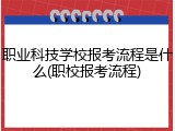 职业科技学校报考流程是什么(职校报考流程)