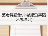 艺考舞蹈集训培训班(舞蹈艺考培训)